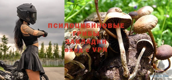 винт Абинск